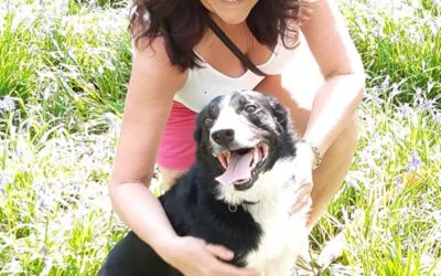 Building your hypnotherapy business